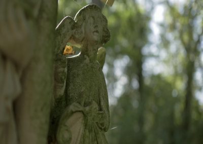 Jardin - La Noë Bel air